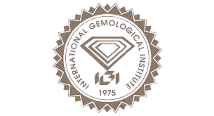 download-removebg-preview